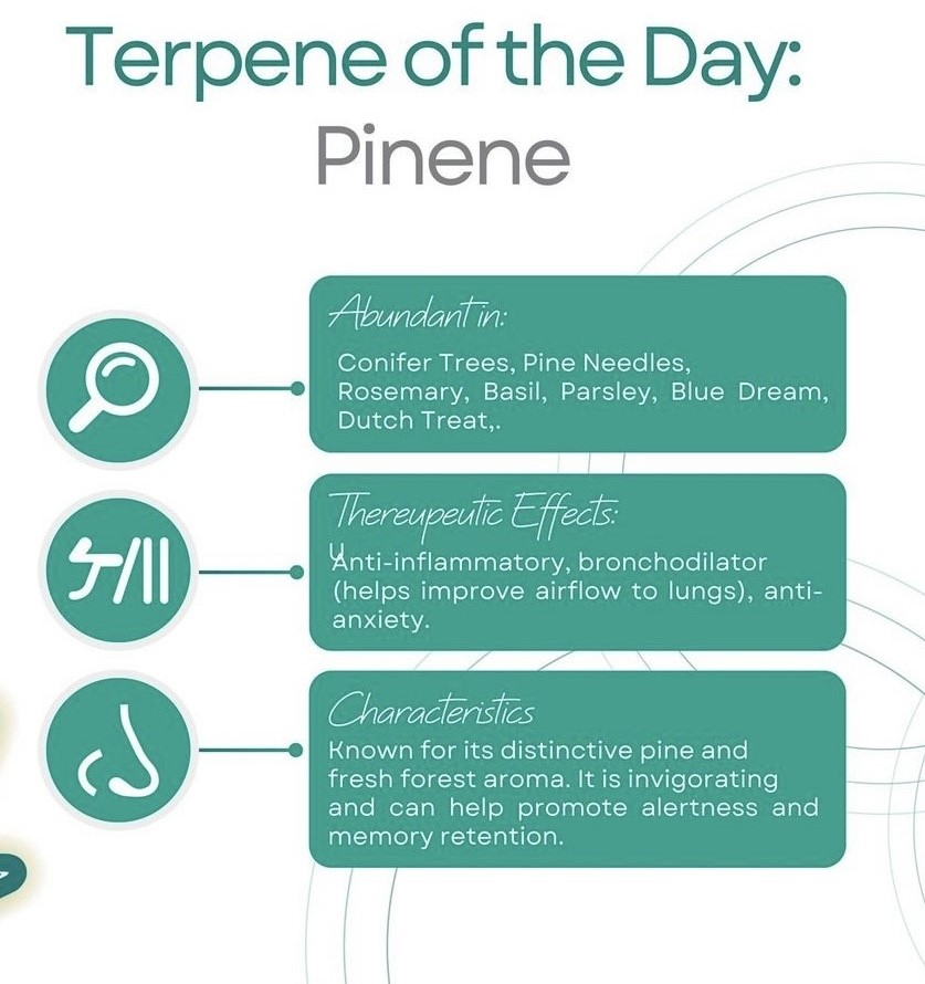 Your Image Description