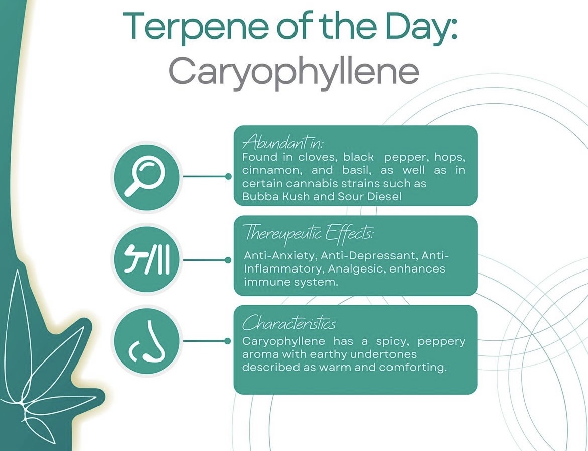 Your Image Description